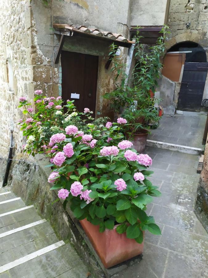 Mozzafiato Pitigliano Apartment ภายนอก รูปภาพ